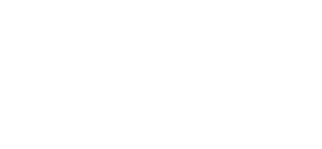 Halcon Viajes